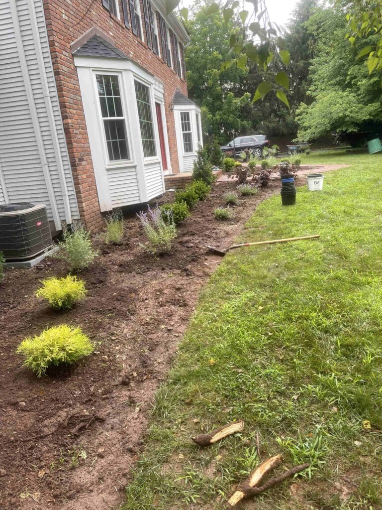 Affordable Tree Services New Jersey NJ Tree Experts